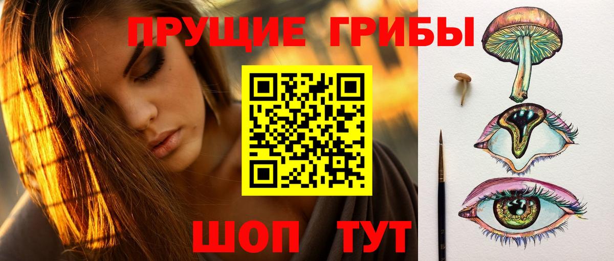 купить наркотик  Галлюциногенные грибы Cubensis  Вход с VPN  Лосино-Петровский 